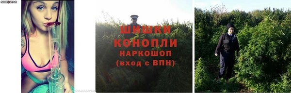 дмт Лабытнанги