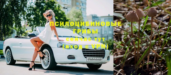 эйфоретик Ладушкин