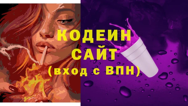 дмт Лабытнанги