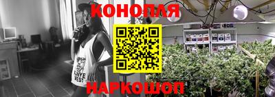 гидра Кандалакша