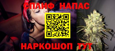 гидра Кандалакша