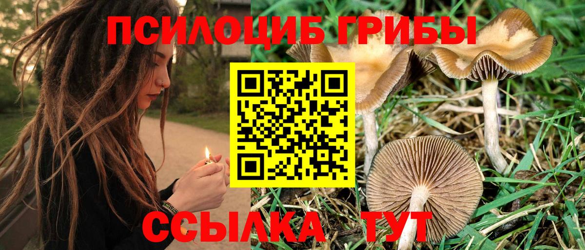 Галлюциногенные грибы MAGIC MUSHROOMS  цена   Самара  Вход с VPN 