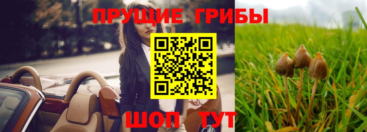 Галлюциногенные грибы мухоморы Самара